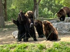 -北京野生动物园
