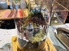 -奔驰上海利星(七宝店)