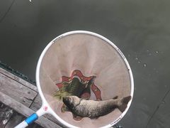 -酷鱼垂钓CLUB(朝阳区博大路店 )