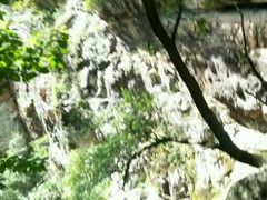 -牛背梁国家森林公园