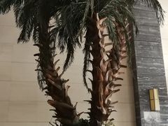 -海德温泉酒店