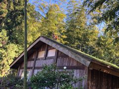 -重庆雨台山风景区