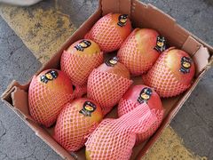 -西郊国际农产品交易中心