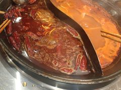 -朱光玉火锅馆(正弘城店)