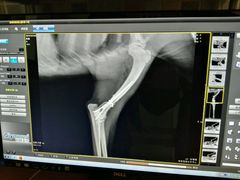 -骐奇宠物诊疗中心(南亭公路店)