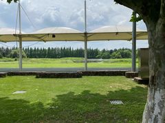 宠物餐厅前的大草坪-太阳岛度假酒店