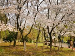 -江南大学(蠡湖校区)
