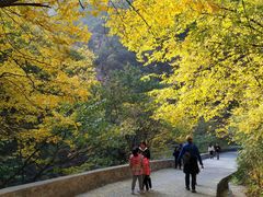 -北京上方山国家森林公园