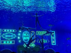 -上海海昌海洋公园