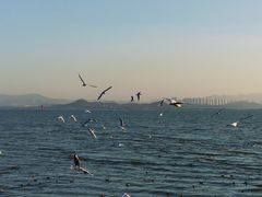 -深圳湾公园(南山区)
