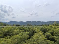 -陶祖圣境风景区
