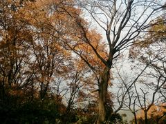 android_upload_pic-终南山南五台景区