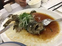 老虎斑-松雅轩海鲜酒家(同和店)