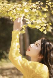 点击看大图 -YESIDO椰岛造型