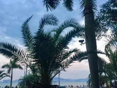 -黄金海岸环岛路