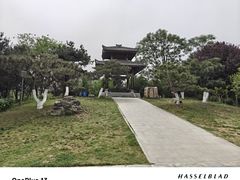 -宝鸡植物园