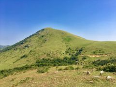 -大姆山草场
