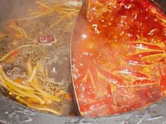 -蜀大侠火锅(总府路店)