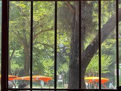 -鸡鸣汤包(红山动物园店)