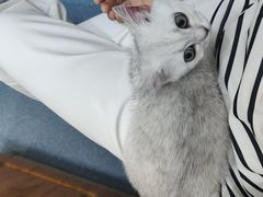 -佑安动物医院·全科·内窥镜中心(幸福巷店)