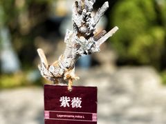-戏马台景区