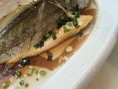 -老蒲鲜·地标·非遗美食(涵江店)