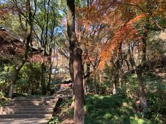 -宁波市保国寺古建筑博物馆