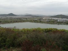 -羊山湖公园