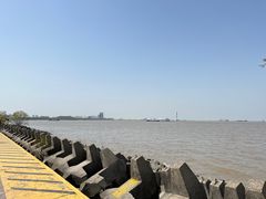 -上海滨江森林公园