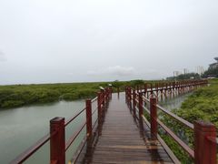 -北海金海湾红树林生态旅游区