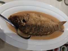 -阿庄新豫菜(航海东路店)
