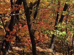 -五女峰国家森林公园