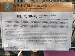 -遂昌金矿国家矿山公园
