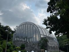 -石排湾郊野公园