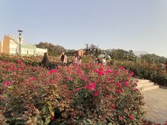 -立新湖公园