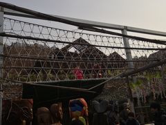 -北京呀路古热带植物园