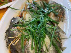 陈皮蒸泥蜢-龙溪海鲜酒家(溪涌店)