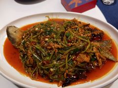 有鱼的鱼香肉丝-院8里·小聚园老川菜(九眼桥店)