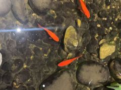 -邈墨茶馆(大兜路1号店)