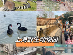 -上海野生动物园