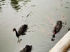 -石家庄市动物园