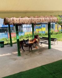 -萌宠亲子动物乐园(槐房万达店)