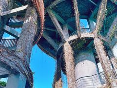-芒洲湿地公园