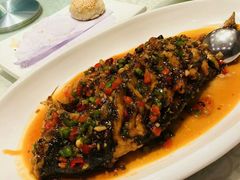 -津城食府