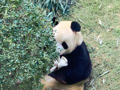 -大连森林动物园