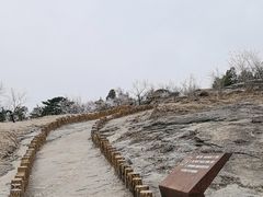 -白水寺森林公园