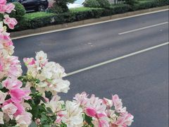 -烈士陵园(地铁站)