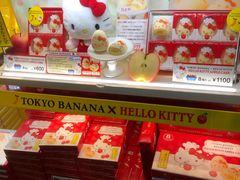 -TIAT DUTY FREE SHOP NORTH(羽田机场店)