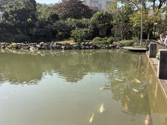 -石排湾郊野公园