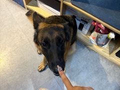 -KingBull私教健身&格斗订制(龙井商业中心店)
